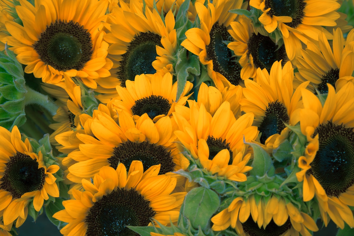 Buchet de Sezon
